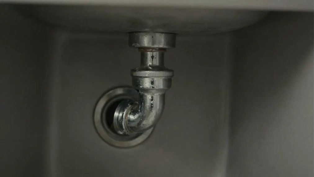 Close-up of a chrome P-trap bend beneath a sink.